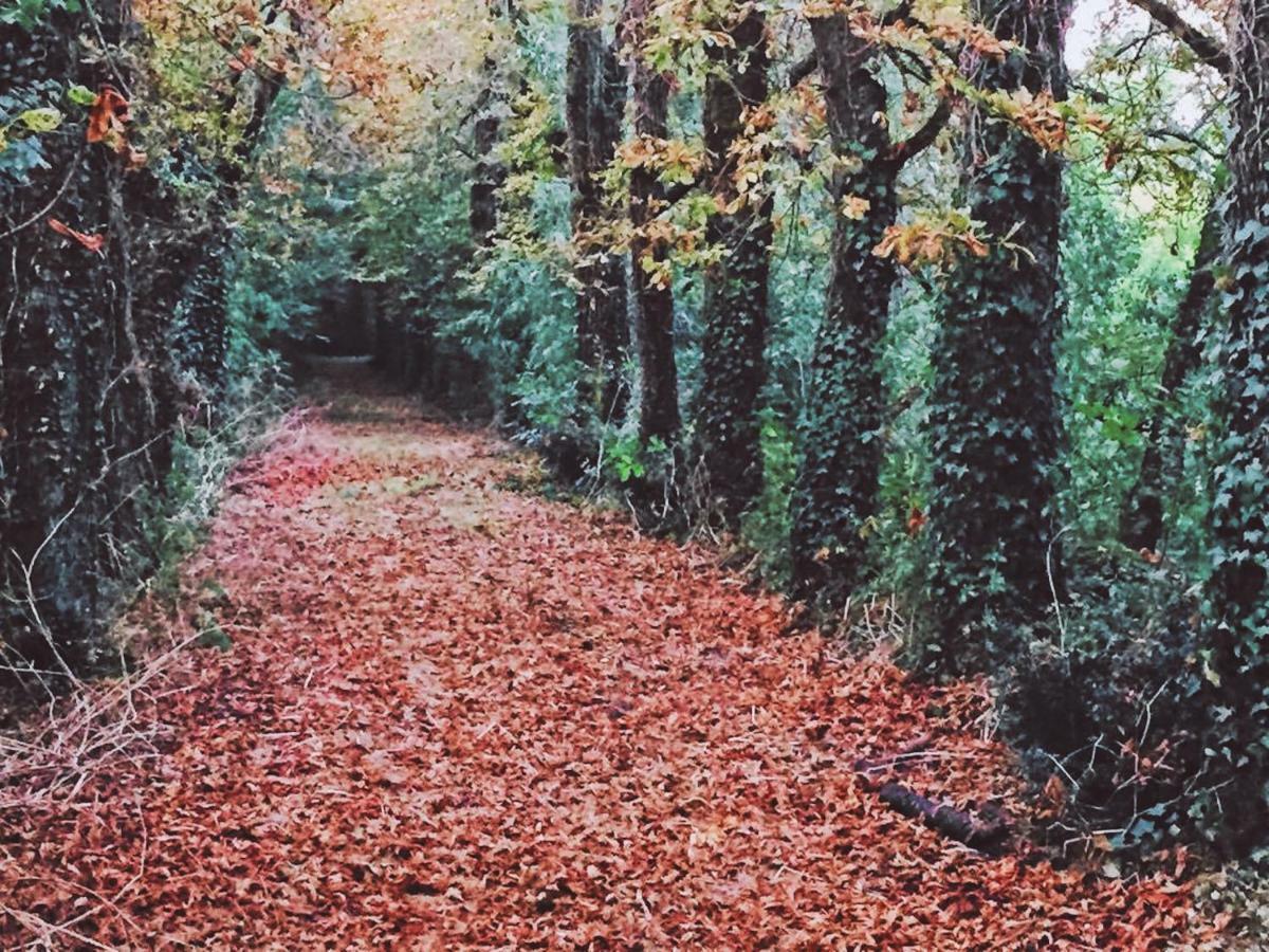 Gites Les Demeures De Valette Azay-le-Brule Exteriör bild